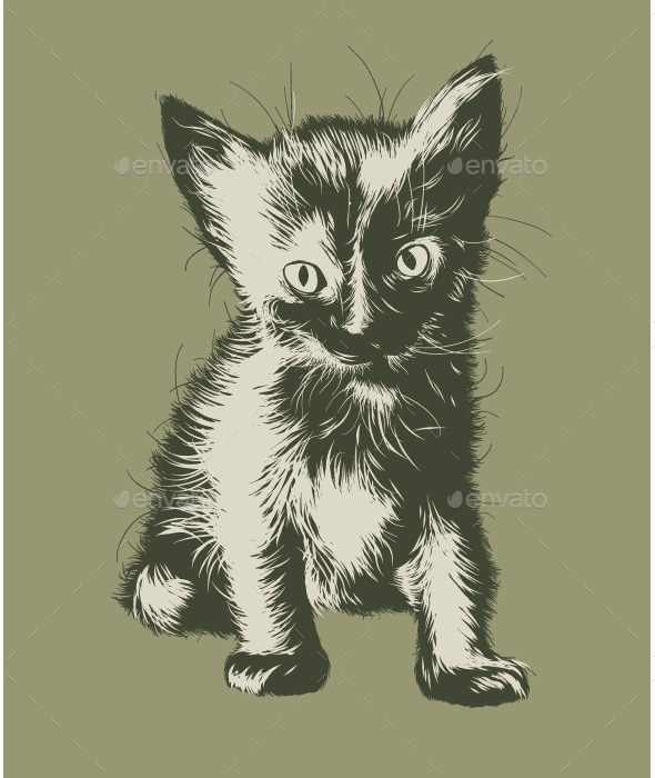 GraphicRiver Kitten 9749502 GraphicRiver Kitten 9749502