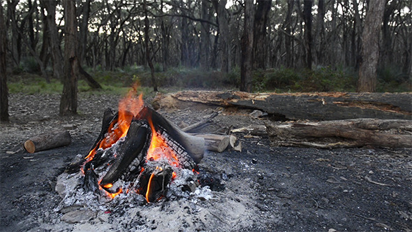 Campfire Campfire