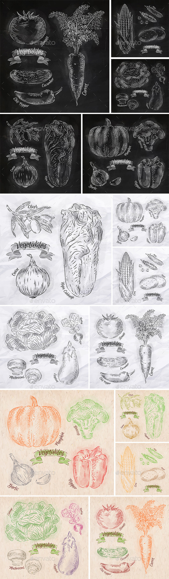 GraphicRiver Vegetables Drawn in Chalk 9767527 GraphicRiver Vegetables Drawn in Chalk 9767527