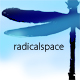radicalspace