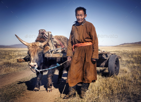 Man Walking With A Bull With A Cart (Misc) Photo Download