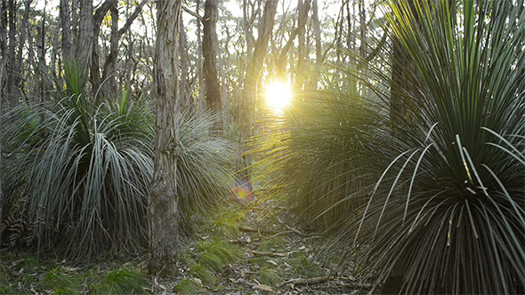 Path Getting Brighter Path Getting Brighter
