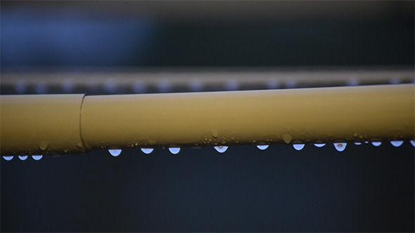 Rain Rain