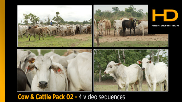 Cow & Cattle Pack 02 Cow & Cattle Pack 02