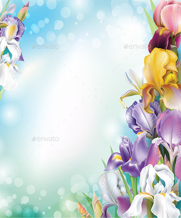 GraphicRiver Background with Iris Flowers 9783893 GraphicRiver Background with Iris Flowers 9783893