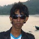 anisbulbul