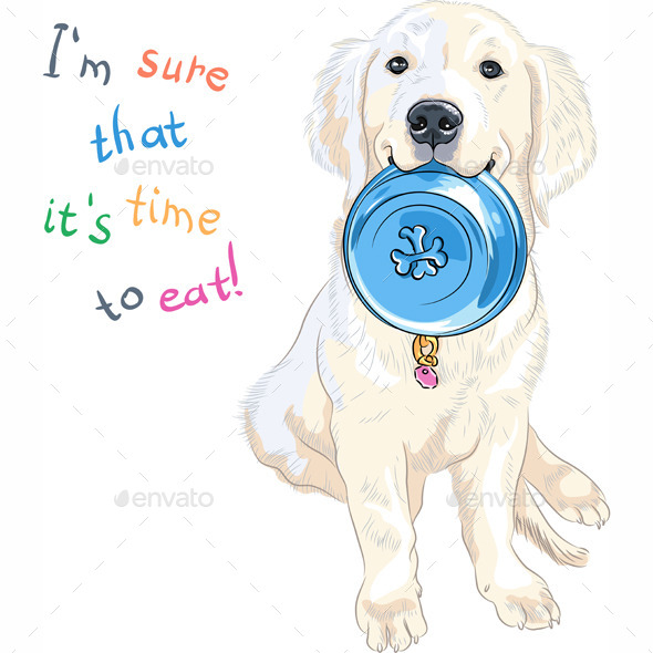 Labrador Retriever with Bowl for Food Labrador Retriever with Bowl for Food