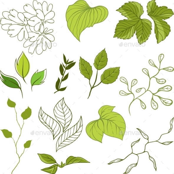 GraphicRiver Leaves Set 9788465 GraphicRiver Leaves Set 9788465