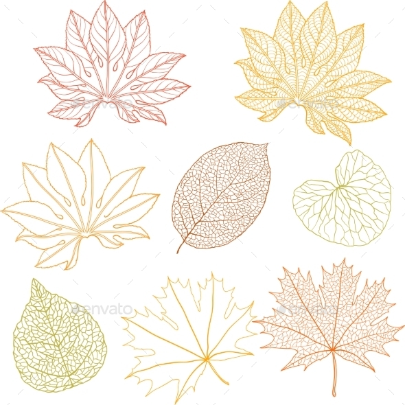 GraphicRiver Leaves Set 9788468 GraphicRiver Leaves Set 9788468