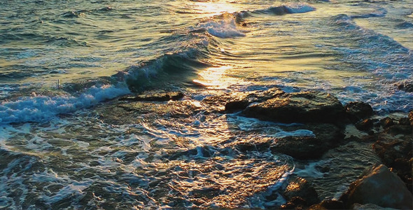 The Sea and the Sunlight The Sea and the Sunlight