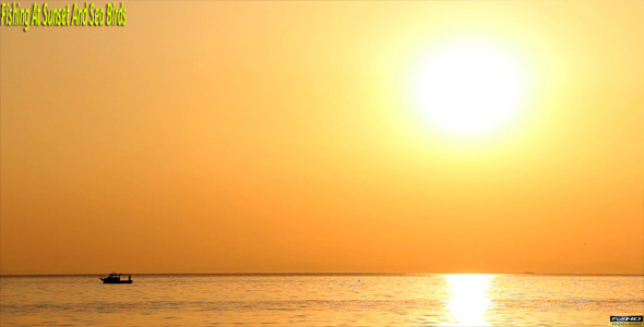 Fishing At Sunset And Sea Birds Fishing At Sunset And Sea Birds