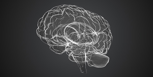 Brain Scan Brain Scan