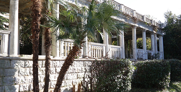 Exterior of Old Abandoned Building With Palm Tree Exterior of Old Abandoned Building With Palm Tree