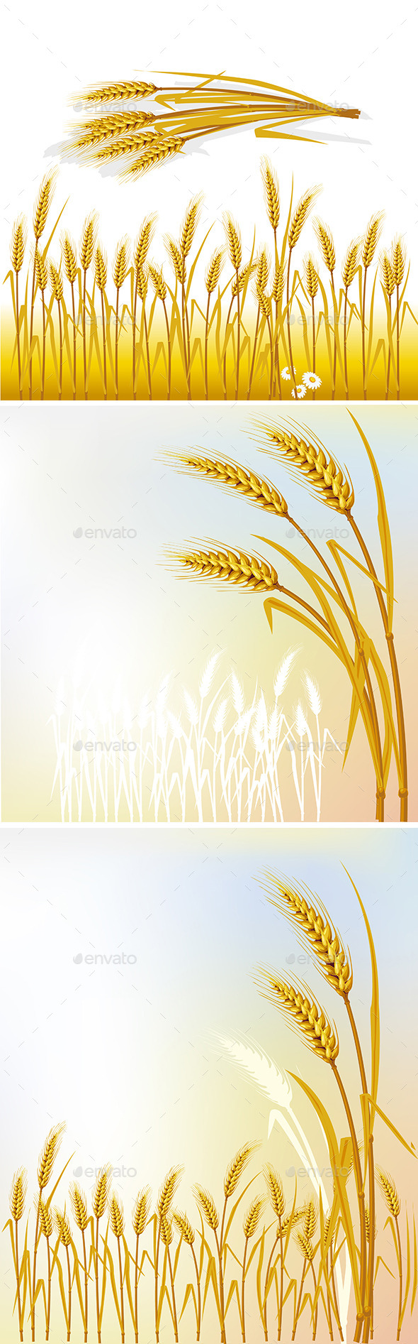 GraphicRiver Set of Backgrounds with Wheat 9801956 GraphicRiver Set of Backgrounds with Wheat 9801956