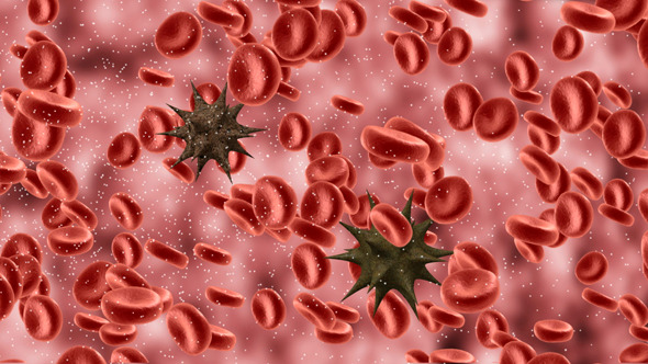 Influenza Virus Particle Surrounded Blood Cells Influenza Virus Particle Surrounded Blood Cells