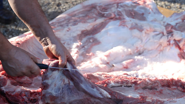 Slicing Large Fresh Meat Slicing Large Fresh Meat