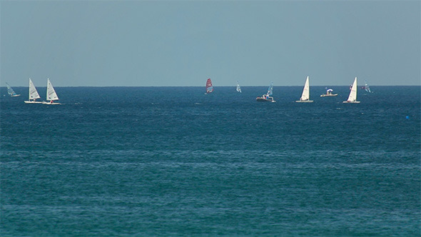 Regatta Regatta