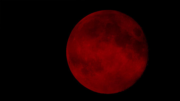 Blood Moon Rises Blood Moon Rises
