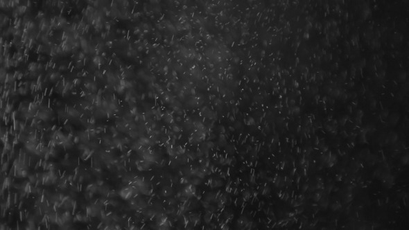 White Particles White Particles