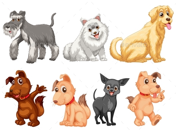 GraphicRiver Dog Set 9822389 GraphicRiver Dog Set 9822389