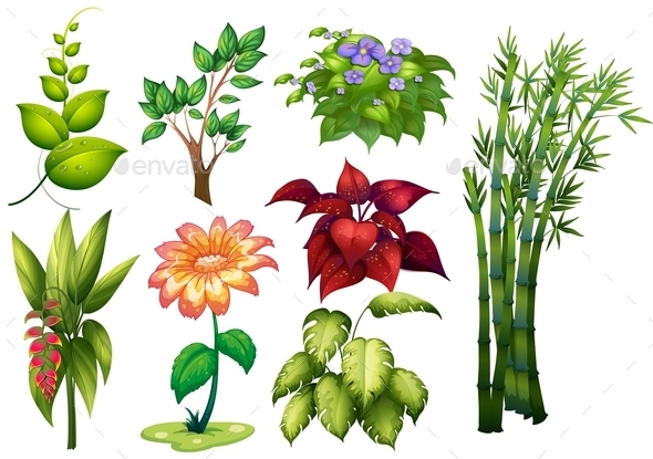 GraphicRiver Flower and Plant 9822451 GraphicRiver Flower and Plant 9822451