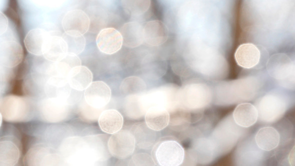 Winter White Bokeh Circles Winter White Bokeh Circles