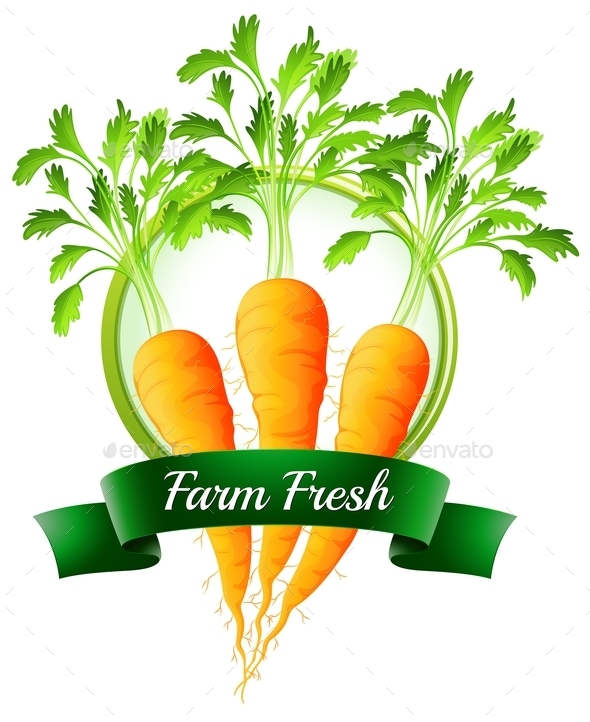 GraphicRiver Carrot Label 9831441 GraphicRiver Carrot Label 9831441