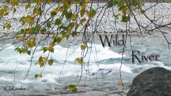 Autumn River Autumn River
