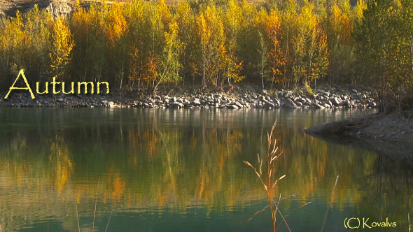 River And Autumn Forest River And Autumn Forest