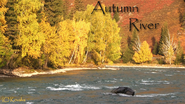 River And Autumn Forest River And Autumn Forest