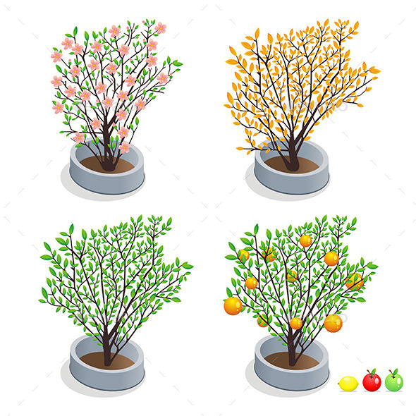 GraphicRiver Trees in Pots 9843923 GraphicRiver Trees in Pots 9843923