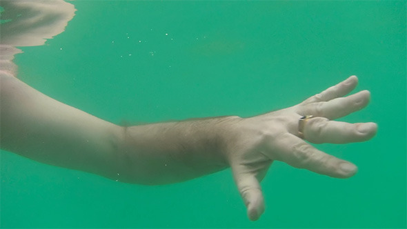 In the Ocean In the Ocean