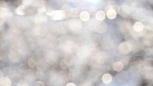 Winter White Bokeh Circles Winter White Bokeh Circles
