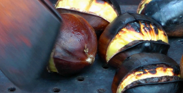 Cooking Chestnut 2 Cooking Chestnut 2