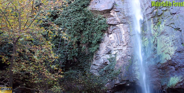 Waterfall In Forest Waterfall In Forest