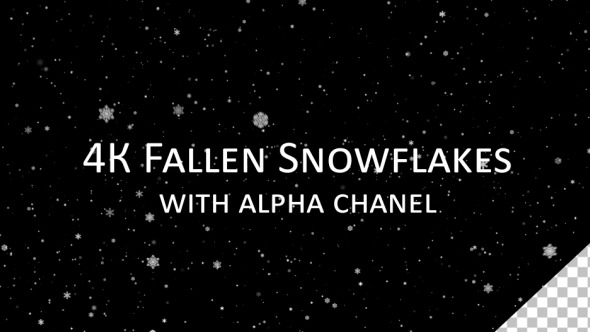 4K Infinity Fallen Snowflakes 4K Infinity Fallen Snowflakes
