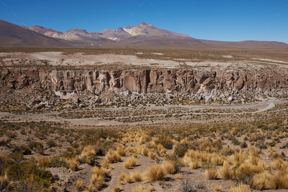 Lauca National Park (Misc) Photo Download