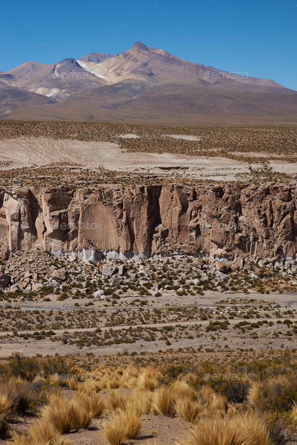 Lauca National Park (Misc) Photo Download