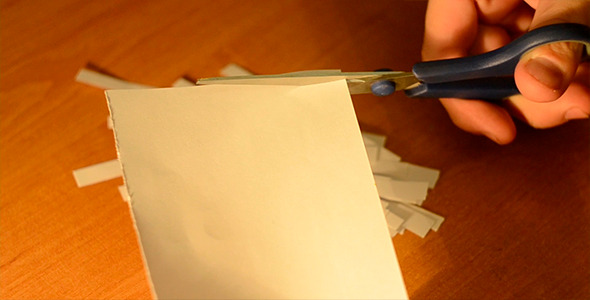 Cut Paper Cut Paper