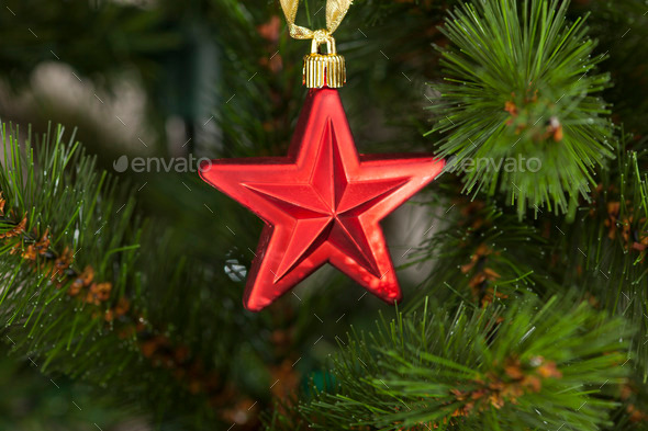 Red christmas star on christmas tree (Misc) Photo Download