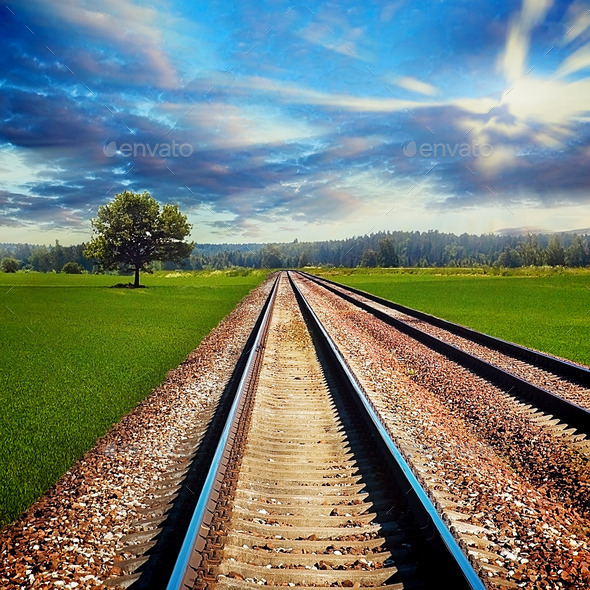 Railroad in field (Misc) Photo Download