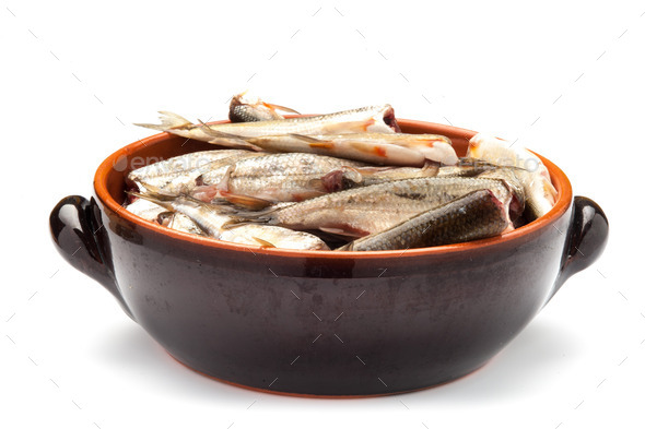 raw fish in a bowl isolated on a white background (Misc) Photo Download