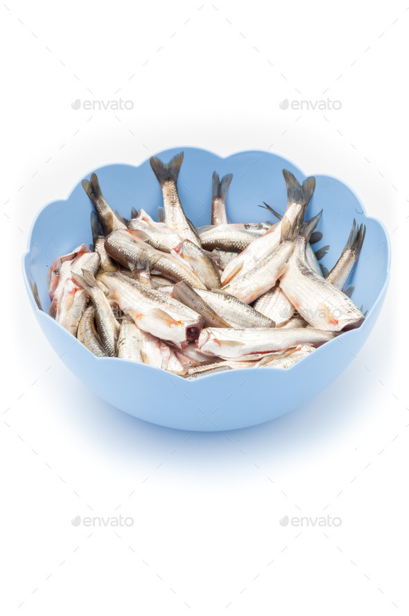 raw fish in a bowl isolated on a white background (Misc) Photo Download