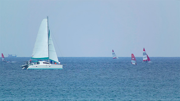 Regatta Regatta