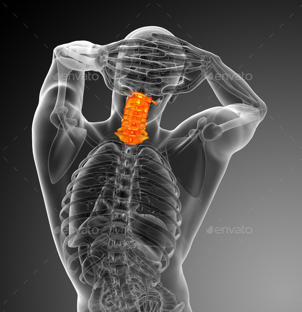 3d render medical illustration of the cervical spine (Misc) Photo Download