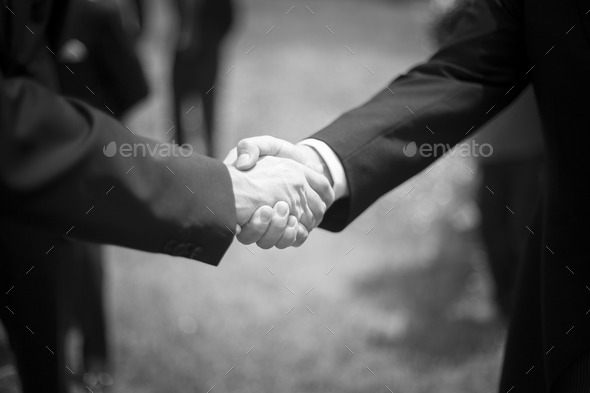 Men shaking hands in wedding reception party (Misc) Photo Download