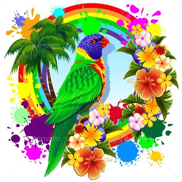 GraphicRiver Rainbow Lorikeet Parrot 9865209 GraphicRiver Rainbow Lorikeet Parrot 9865209