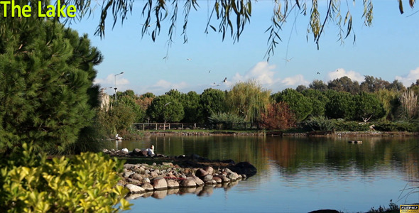 The Lake The Lake