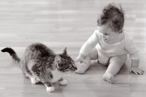 Baby plays with animal