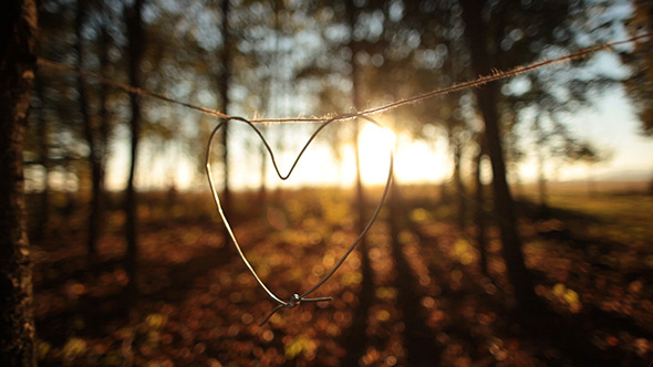 Heart Heart